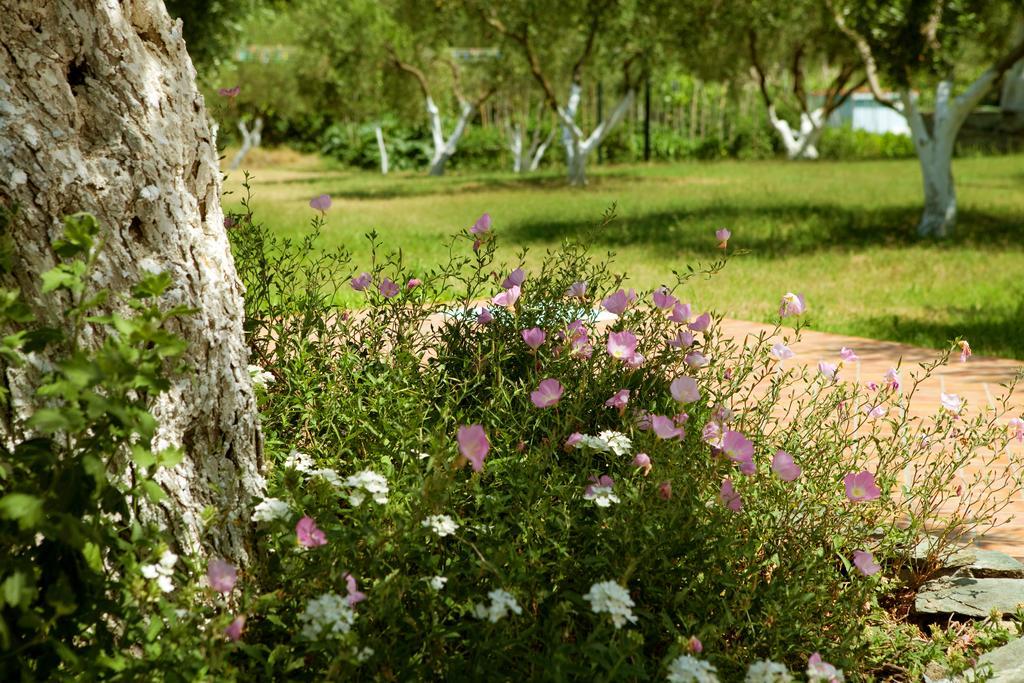 Haus Risos Next Generation Leilighet Toroni Eksteriør bilde
